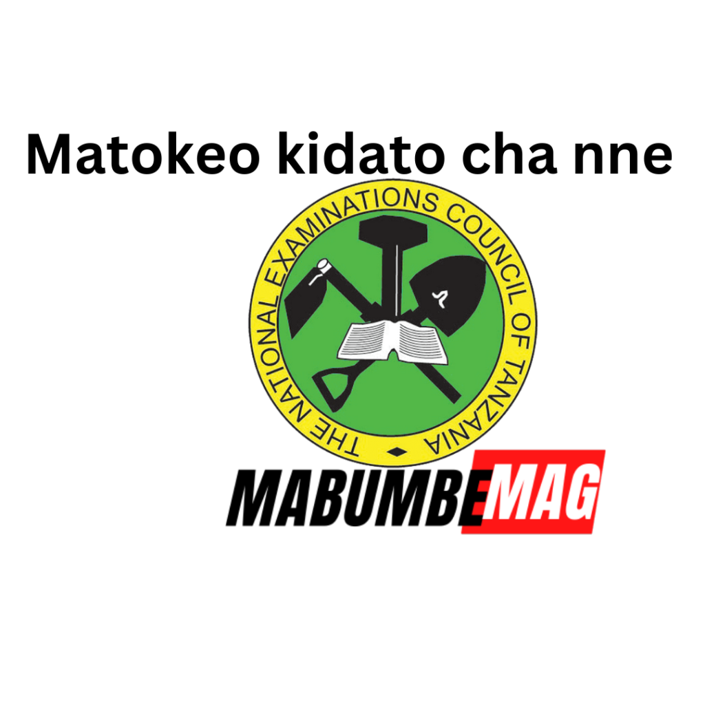 CSEE Results Matokeo kidato cha nne 20232024 Now Available